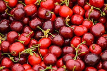 Stacked cherries on sale at the market