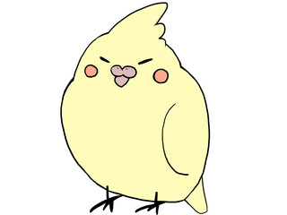 オカメインコ イエロー