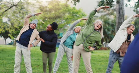 Yoga class, park and elderly group with coach exercise together in nature for health and wellness...