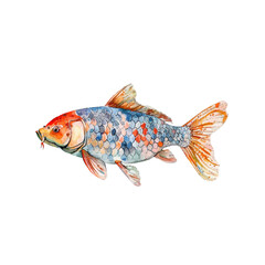 carp fish vector illustration in watercolor style