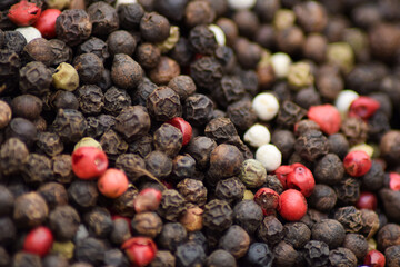 dried herbal tea plants