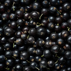 Blackcurrant texture background, Ribes nigrum fruits pattern, black currant mockup, cassis banner,...