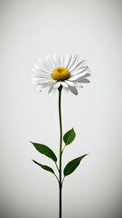 White flower on gray background. Generative AI