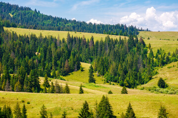 scenery with forested hills of podobovets village countryside. carpathian mountain landscape of ukrainian nature in summer