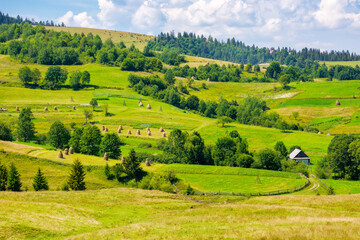 countryside scenery of podobovets village with rural fields on the hill. carpathian mountain landscape of ukraine in summer. sustainable life in transcarpathia
