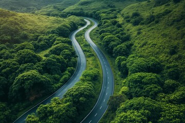 Lush green forest around a curved road