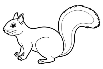 squirrel line art silhouette illustration