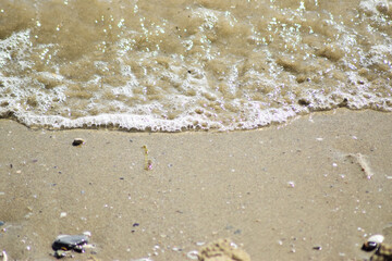 Sea Ocean Background Pattern