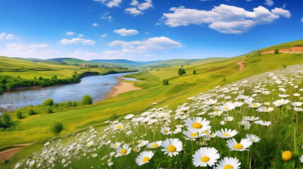 Meadow with daisies and mountains