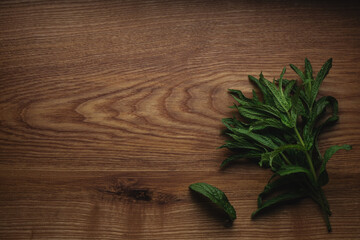 Mint plant bunch and leaf on wooden table