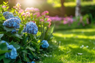 Beautiful home garden with hydrangeas, sage and other plants in the sunlight Garden design concept. Backyard landscape background Generative AI
