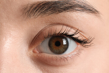 Macro photo of woman with beautiful eyes
