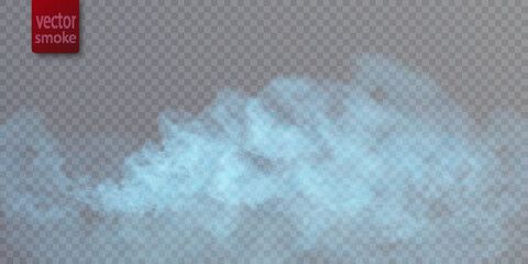 Blue Transparent nebula vector background. Colorful smoke smog on a transparent background. Vector © Valeriia