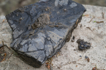 Stone with petrified bamboo and dirt.