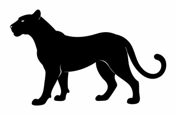 Obraz premium Black silhouette of panther, cheetah, tigress or lioness isolated on a white background. Wild cat. Graphic illustration. Icon, pictogram, template, sign, logotype, print, design element