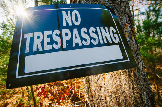 A "no trespassing" sign hangs from a tree in the sunlight in rural Tennessee