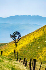 Windmill in the flowers on hillside in spring