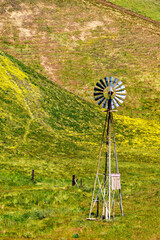 Windmill in spring with flowers on hillside