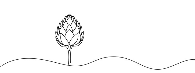 Vector isolated one artichoke flower colorless black and white contour line drawing