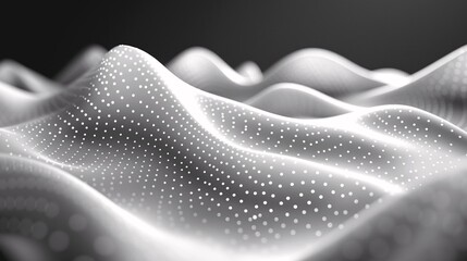 Obraz premium Monochrome perfection with minimalist charm.