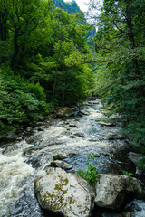 Die Bode im Harz bei Thale