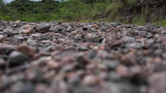 piedras en el suelo, primer plano.