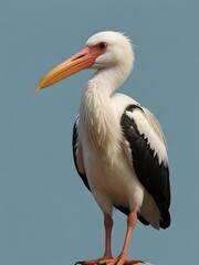 A Stork bird is sitting on a blue background. AI generated image