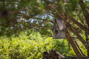 Summer Birdhouse