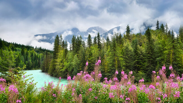 Rocky Mountains In Jasper