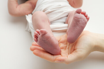 The palms of the father, the mother are holding the foot of the newborn baby in a white blanket. Feet of the newborn on the palms of the parents. Studio macro photo of a child's toes, heels and feet