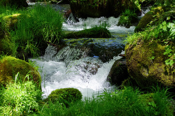 きれいな水が流れる渓流