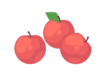 Three red apples with one green leaf on a white background, vector illustration of fruit isolated on white background
