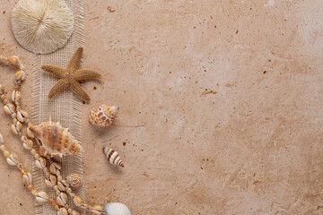 tropical seashore corner border background with shells starfish and white plate coral skeleton and...