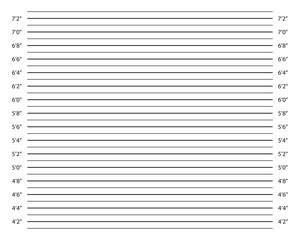 Inches height chart for police photo shoot of wanted, arrested or suspected person identification. Line up mugshot template. Empty background for perpetrator profile. Vector graphic illustration.
