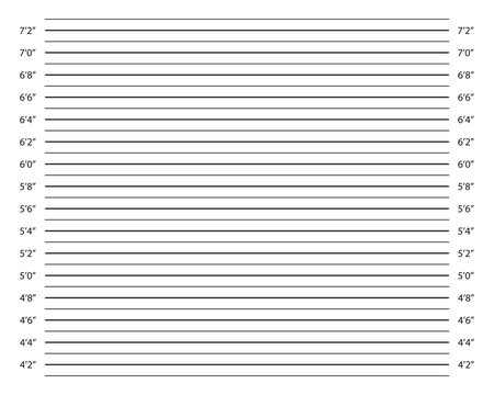Inches height chart for police photo shoot of wanted, arrested or suspected person identification. Line up mugshot template. Empty background for perpetrator profile. Vector graphic illustration.