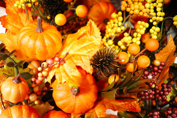 autumn still life with pumpkins