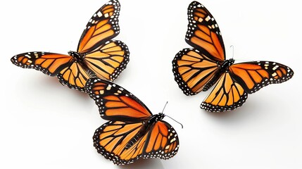 Color monarch butterflies , isolated on the white background. Generative Ai