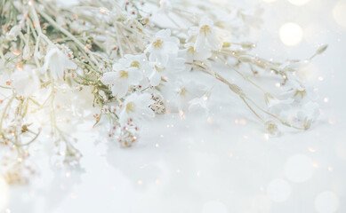 Beautiful tiny wild flowers bunch over white background, soft pastel colours, beauty invitation...