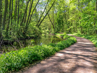 Poznań, the Cybina river valley, Olszak, river bends among beautiful vegetation and trees