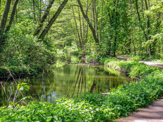 Poznań, the Cybina river valley, Olszak, river bends among beautiful vegetation and trees