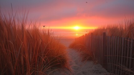 Captivating Sunset View Through Dune Grasses at Beach with Wooden Fences and Gentle Waves