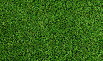 green grass background for artificial floor. Green grass natural background texture.