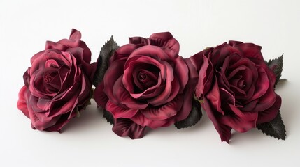 Three deep crimson roses set against a stark white backdrop