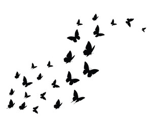 butterflies silhouettes set black vector