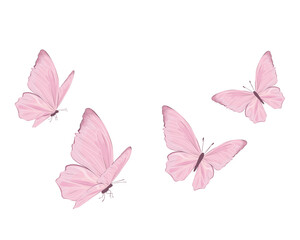 pink butterfly flock hand drawn design vector design