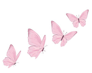 decorative pink butterfly flowers of retro vintage style butterflies. Vector illustration design for fashion, tee, t shirt, print, poster, graphic, background butterfly