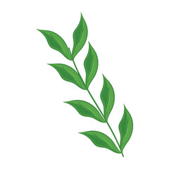 Realistic detailed branch of leaves Vector illustration