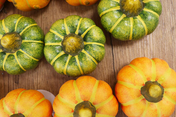 pumpkins and gourds on leaves