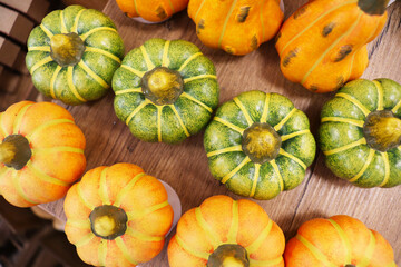 pumpkins and gourds on leaves
