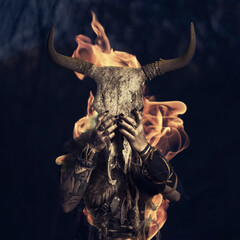 Flaming Viking with Skull Bull Head